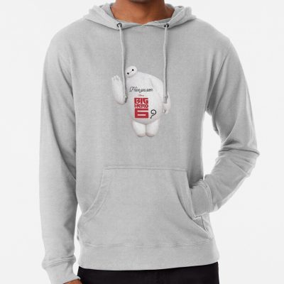 Have You Seen Big Hero 6 Hoodie